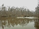 Abava River (ラトビア)