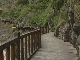 Ancient Plank Road (中国)