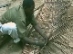 Искусство плетения в Занзибаре (Танзания)