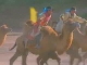 Camel Racing (中国)