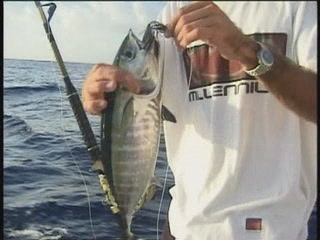 صور Cayman Islands Fishing صيد السمك