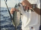 Рыбалка на Каймановых островах