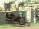Заезды на колесницах в древнем Джараше (Иордания)