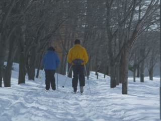  札幌市:  Hokkaido Prefecture:  日本:  
 
 Cross-country Ski in Sapporo