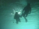 Diving in Fujairah (الإمارات_العربية_المتحدة)