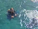 Diving in Kash (تركيا)