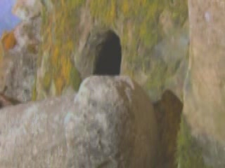  Respublika Adygeya:  Russia:  
 
 Dolmens in National Museum of Adygea