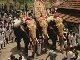 Elephant Festival in India (インド)