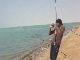 Fishing in Jeddah (Saudi Arabia)