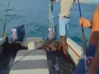  موزمبيق:  Ponta do Ouro:  
 
 Fishing in Ponta do Oro