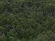 Forests of Tasmania (澳大利亚)