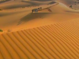  Inner Mongolia:  China:  
 
 Gobi Desert