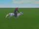 Horse Riding (الصين_(منطقة))