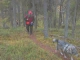Hunting in Posio (Finland)