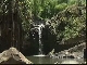 Nature, Grenada (جرينادا)