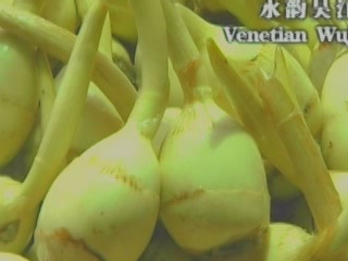  呉江市:  上海市:  中国:  
 
 Plant food in Wujiang