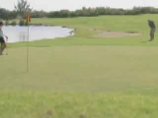  Turks and Caicos Islands:  グレートブリテン島:  
 
 Provo Golf and Country Club