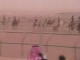 Racing camels in Riyadh (沙特阿拉伯)