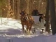 Sleigh Rides in New Hampshire (الولايات_المتحدة)