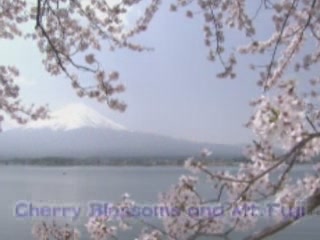  اليابان:  Yamanashi Prefecture:  
 
 Spring in Yamanashi