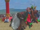 Mongolian wrestling (الصين_(منطقة))