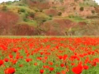  タジキスタン:  
 
 Summer in Tajikistan