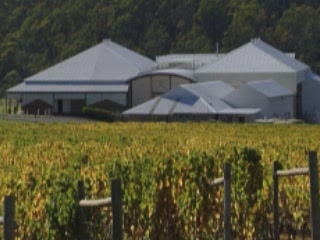 صور Tasmania Vineyards النبيذ
