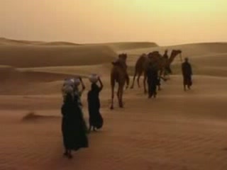 صور Thar Desert in Pakistan المناظر الطبيعية