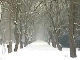 Winter in Tajikistan (طاجيكستان)