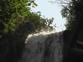صور Avian waterfall شلال