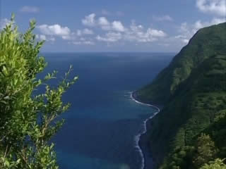  ポルトガル:  
 
 Azores Island