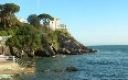 Nervi 写真