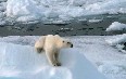 Spitsbergen صور