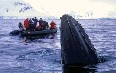 Spitsbergen, tourism Images