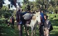 Addis Merkato market Images