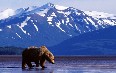 Alaska Images