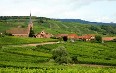 Alsace 写真