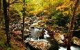 Appalachian Trail 图片