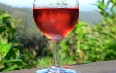 Aquitaine, wine Images