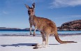 Australia Images