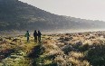 Bale Mountains National Park Images