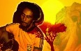 Bob Marley Reggae festival صور