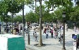 The Avenue des Champs-Elysees 写真