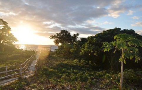 Остров Эуа привлекает прежде всего любителей экологического туризма - на нем расположен удивительный национальный природный парк