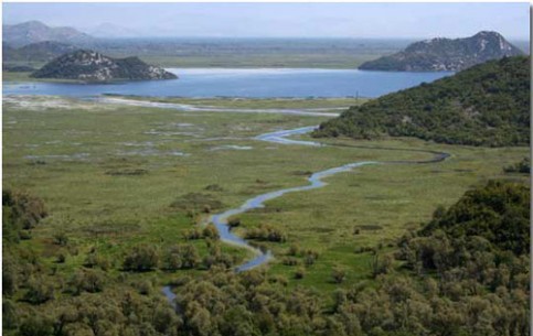Lake Scutari is the biggest European ornithological natural reserve. There are colonies of more than 220 species of birds (pelicans, cormorants, herons, black ibises, etc)