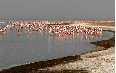 Озера Абията и Шалла Фото