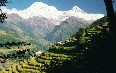 Непал, природа Фото