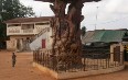 Ouidah Images