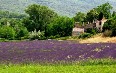 Provence-Alpes-Côte d'Azur 写真