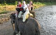 Safari in Nepal  صور